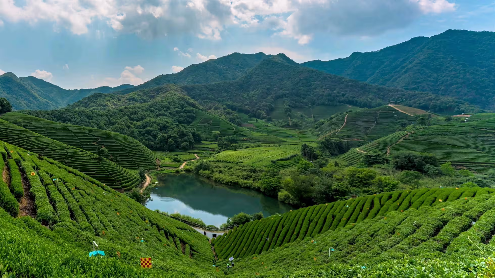 iDiMi-杭州龙坞茶镇夏天